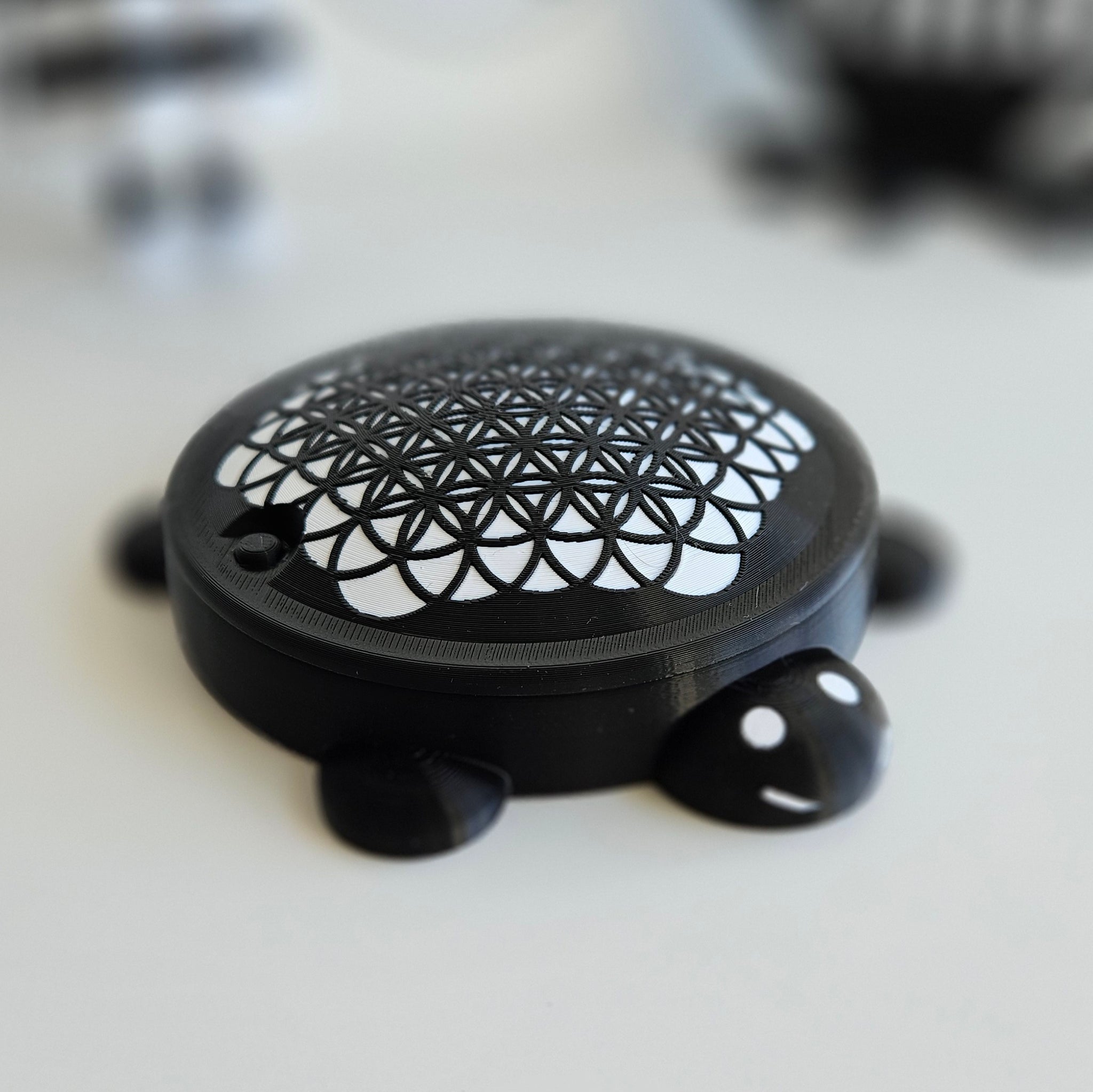 Sandpit Turtle - Mini Desk Sandpit Turtle (BMTH) - In Black & White